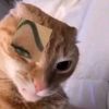 monsuuuu_0