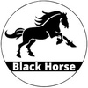 black_horse2025