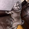 chelsea_xyz1007