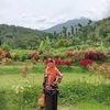 siti.wardiyah
