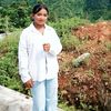 mallikasunar8