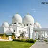 mahamodulhasan8664