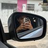 angel_fc288