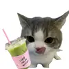 matcha_enak29