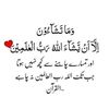 s__masood