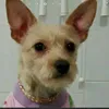 marlenecampanini1