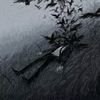 _cuahaysuy_