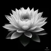 lng.qun.qu.kh.ti.t