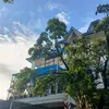 rxzcziq
