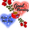 ayeaye0575