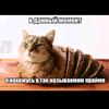gjggm830