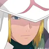 hokage.arny