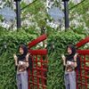 sasaaa_ajaa