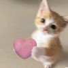 alesha02937