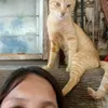 mariann.rebucas