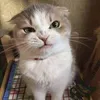 kittyy.7108