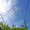 atthar_1626