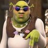 darinafoel