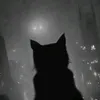 alexxtqwi
