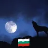 aleksandar.kravch