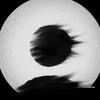anonym78028