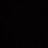 chaa_19262