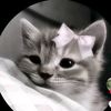 lazzy._.gurl