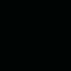 denis.r373