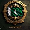 ssg.cammmando