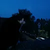 fredrikhellman4