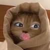 yourgf_sai8