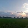 dzakisaputra99