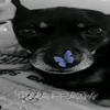 p.r.i.m.e4272
