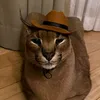 dozachka2