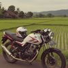 verza.white24
