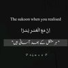 user1981316271830
