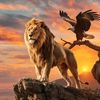 animalsdiscovr