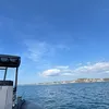 florrieharrison7