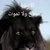 ggh__y