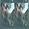 sharon_mg3