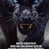 mujo.ahmetovic7