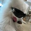 egor_sano