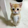 itsnotpabllo3.0