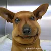 tiktokuser156272_2_