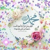 safaa.suliman2