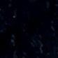 user715817527