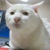 user8582340174566sun
