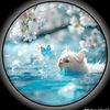 fatma.dahuod5