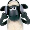 shaun._kkk