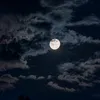 ittttz.moon